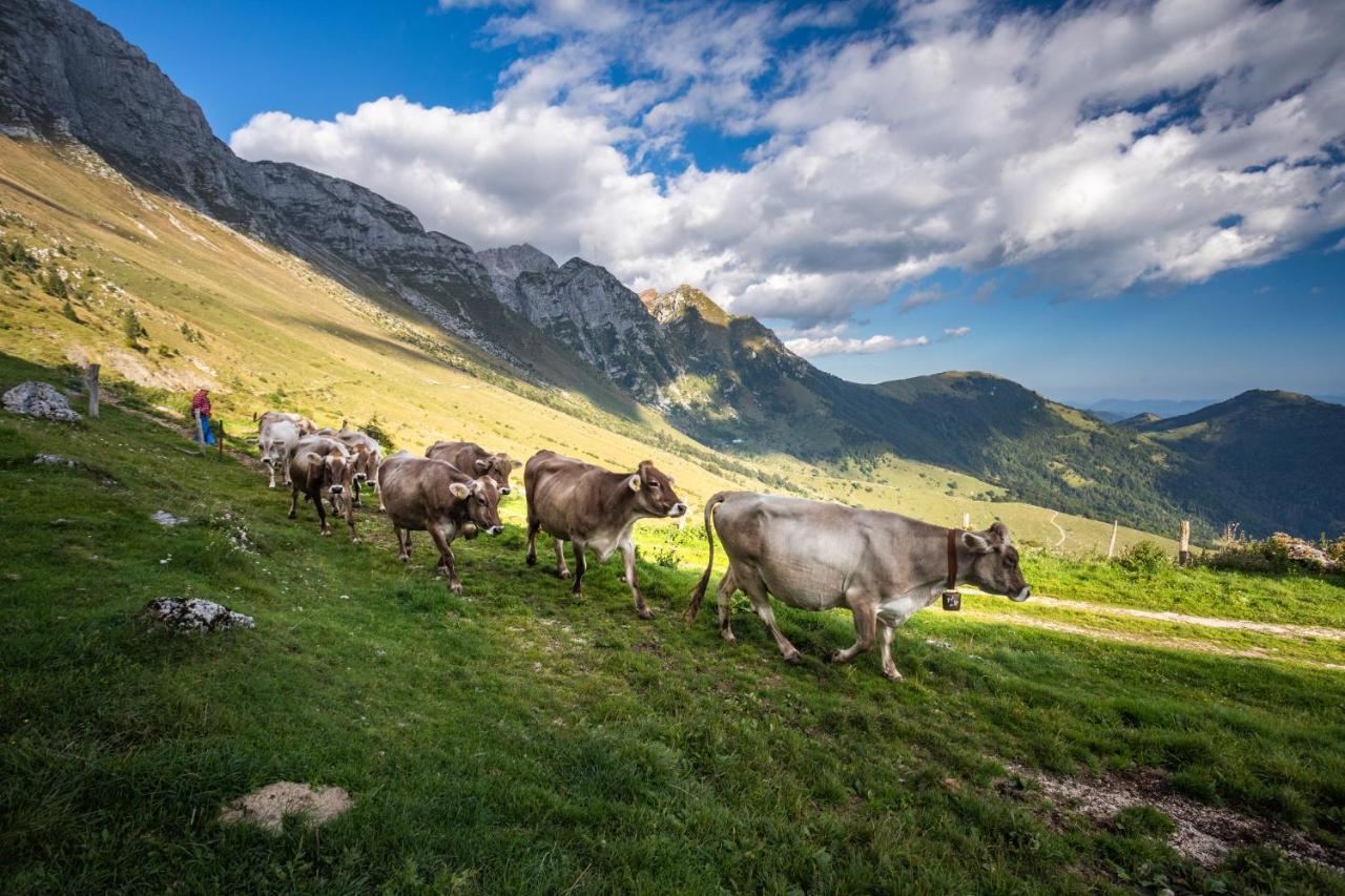 Nebesa Chalets Kobarid Bagian luar foto